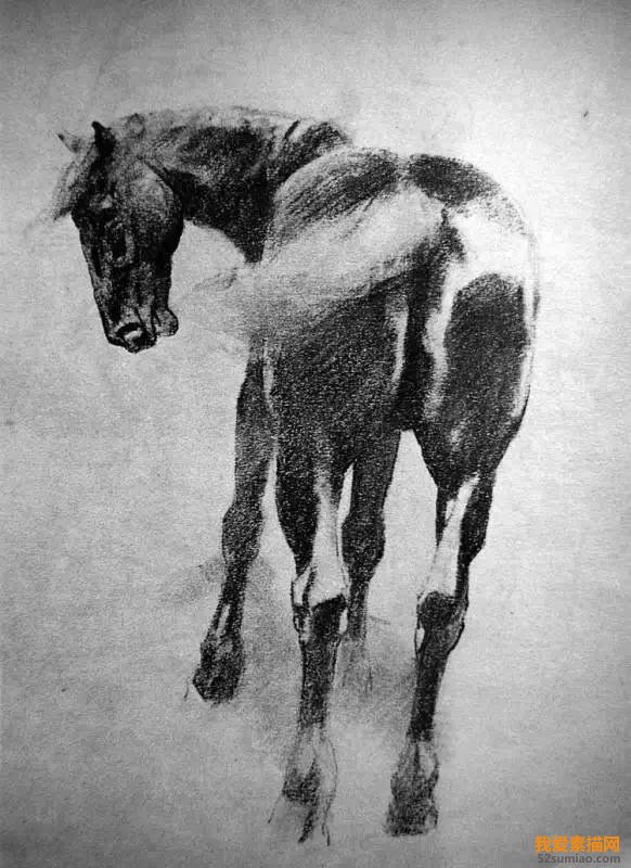 一代繪畫大師徐悲鴻素描作品欣賞