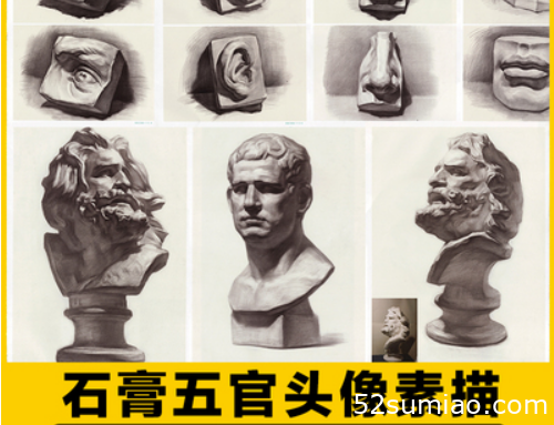 石膏頭像素描高考藝考單獨(dú)五官高清圖片參考范畫素材美術(shù)臨摹教程