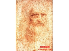 達(dá)芬奇經(jīng)典素描作品賞析