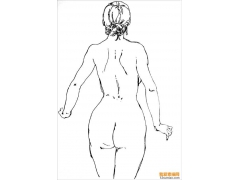 線(xiàn)描躶體女性人體作品欣賞--劉長(zhǎng)年