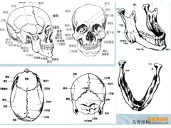 四個要點告訴你：在人像素描中需要表現(xiàn)哪些內(nèi)容？