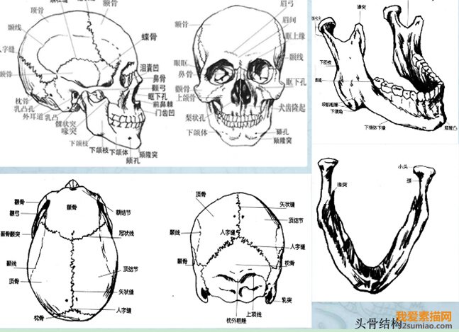 四個(gè)要點(diǎn)告訴你：在人像素描中需要表現(xiàn)哪些內(nèi)容？