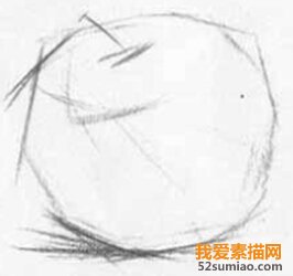 畫(huà)蘋(píng)果素描的注意事項(xiàng)及步驟詳解