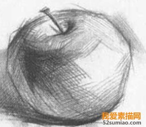 畫(huà)蘋(píng)果素描的注意事項(xiàng)及步驟詳解