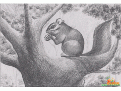 簡單兒童素描圖片欣賞