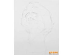 素描基礎教程—石膏頭像步驟教程