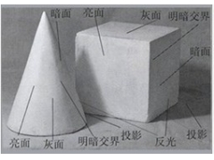 素描入門-素描明暗交界線怎樣看和怎樣畫？