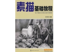 素描入門者應(yīng)該學(xué)些什么看什么書