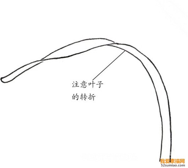蘭花白描葉子技法