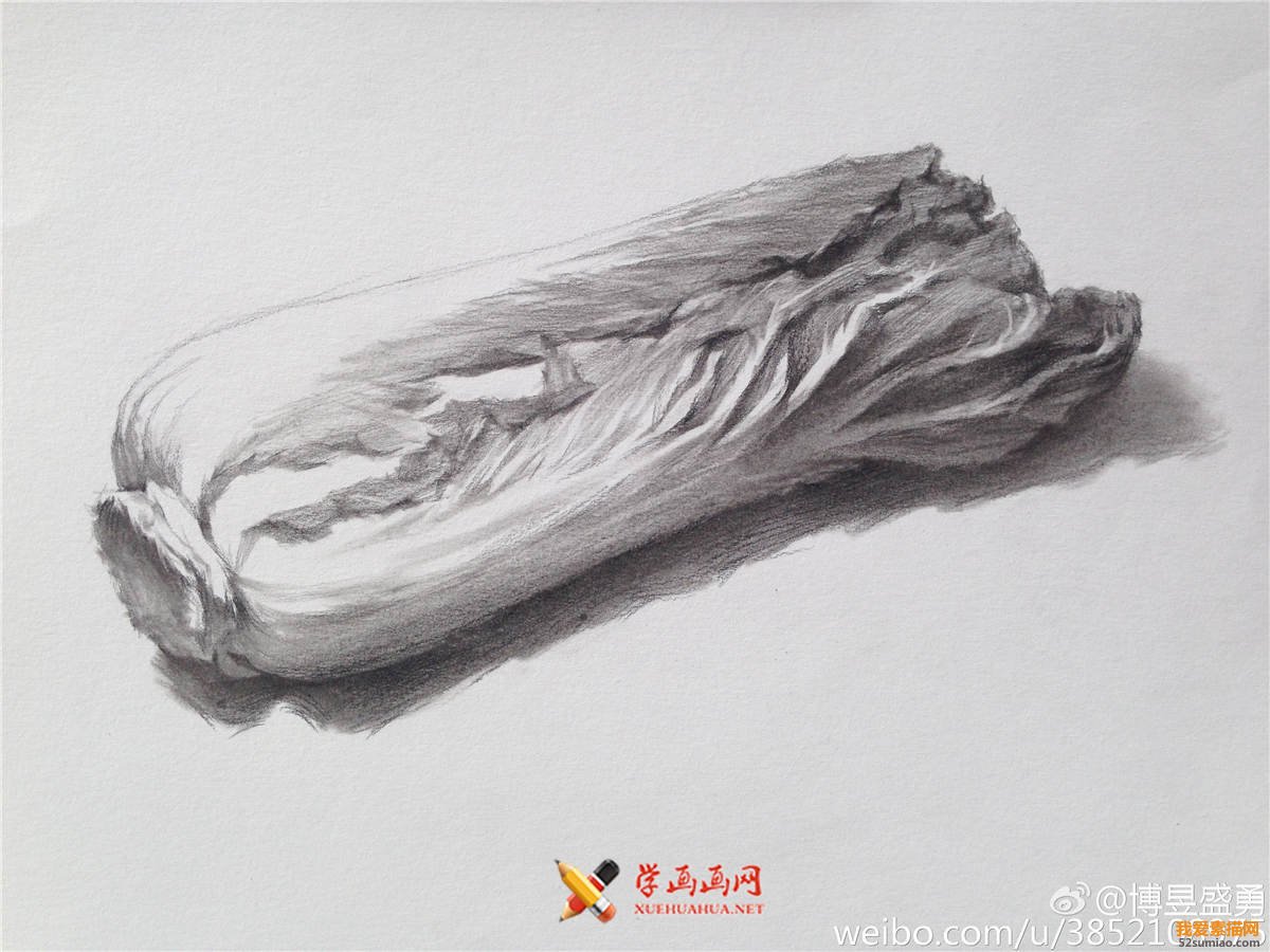 素描入門：單個(gè)物體白菜的素描畫法教程(5)