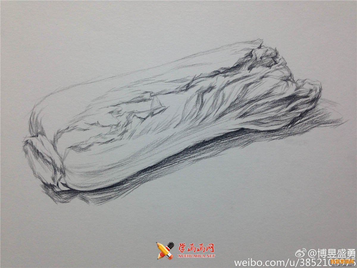 素描入門：單個(gè)物體白菜的素描畫法教程(3)