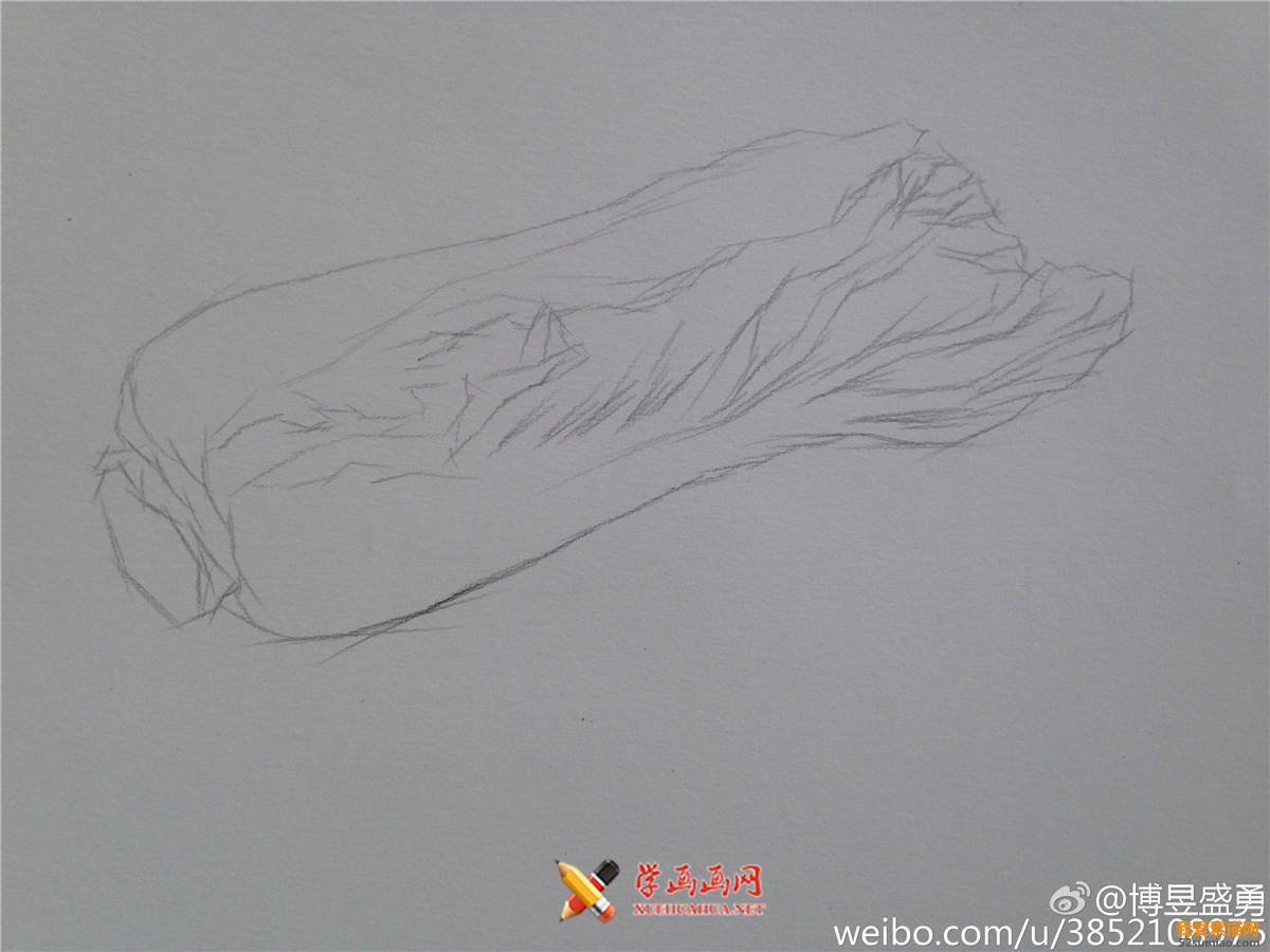 素描入門：單個(gè)物體白菜的素描畫法教程(2)