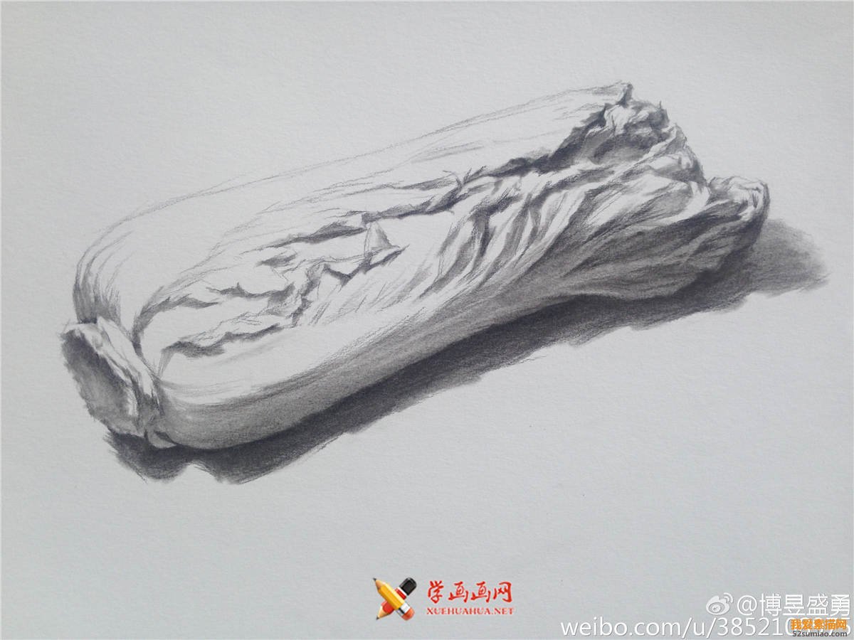 素描入門：單個(gè)物體白菜的素描畫法教程(4)