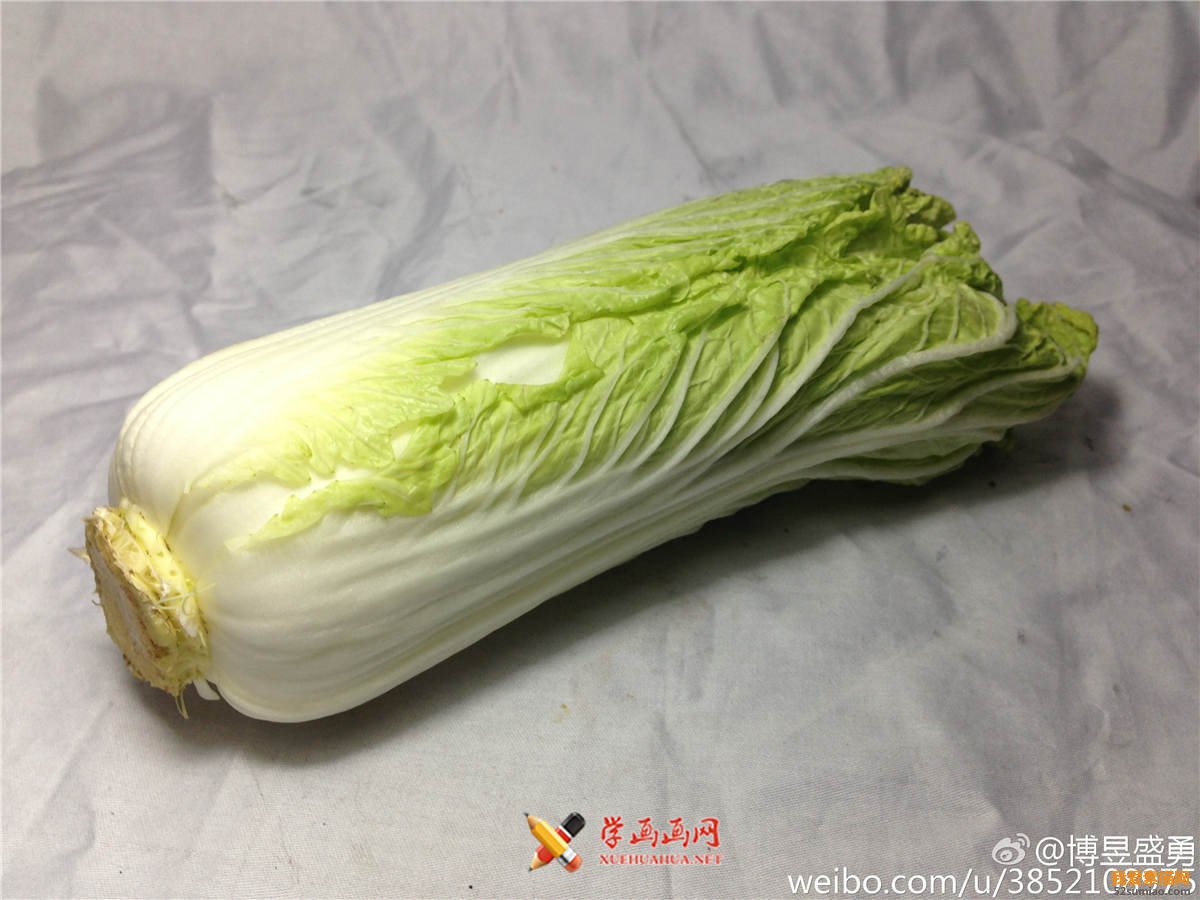 素描入門：單個(gè)物體白菜的素描畫法教程(1)