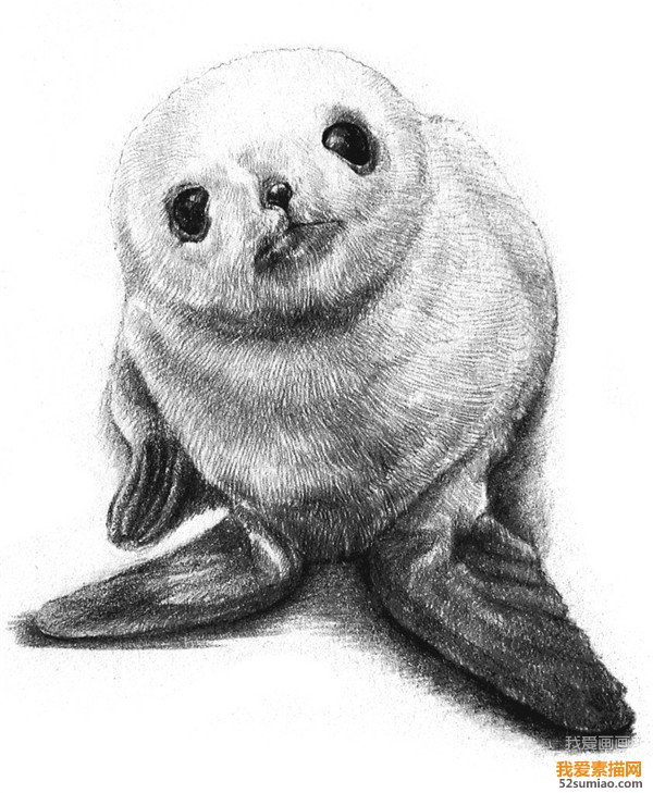 素描小海報圖片