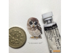 給螞蟻的明信片! Lorraine Lotts迷你水彩插畫作品