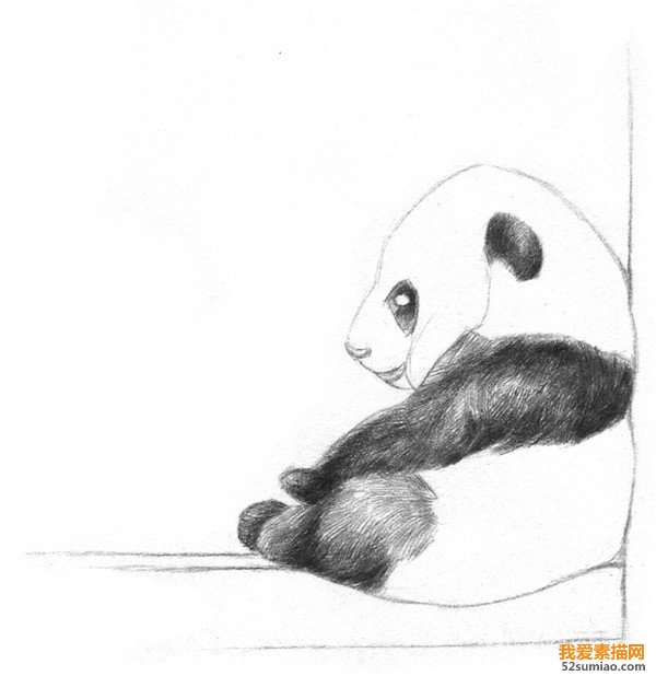 素描熊貓技法