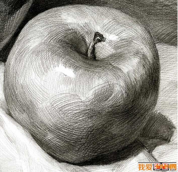 素描蘋果圖片，單個水果素描靜物01
