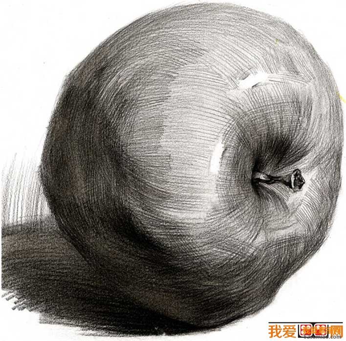 素描蘋果圖片，單個水果素描靜物03