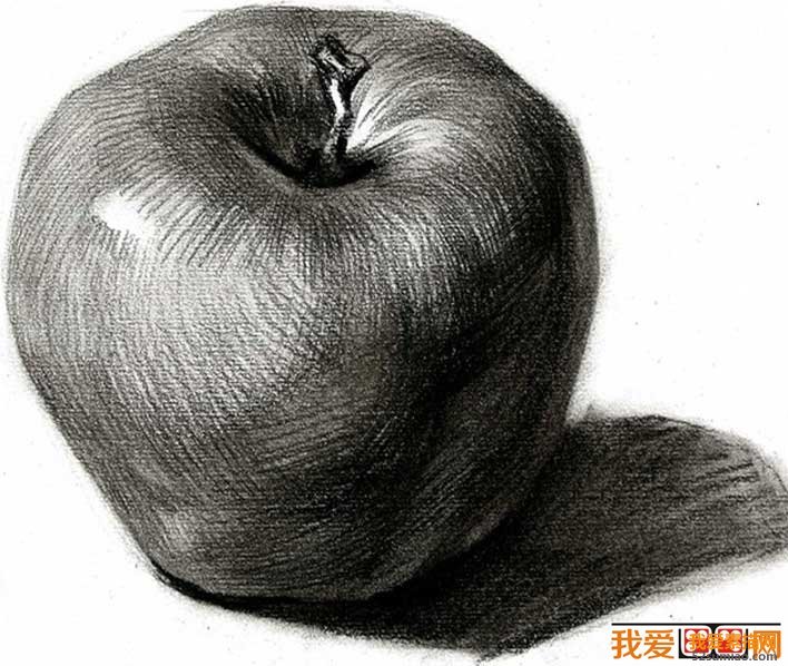 素描蘋果圖片，單個水果素描靜物05