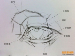 素描繪畫(huà)丨媚眼如絲