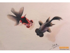 神奇！游動在紙上的魚