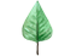 風(fēng)景速寫丨春暖花開，我們一起去郊游吧！