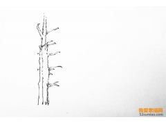 風(fēng)景速寫(xiě)丨超簡(jiǎn)單的樹(shù)木畫(huà)法