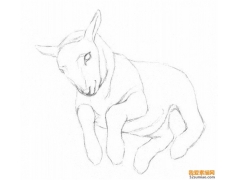 動(dòng)物素描丨教你畫(huà)可愛(ài)的小羊