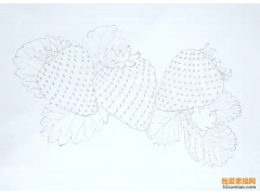 彩鉛素描丨教你畫垂涎欲滴的草莓