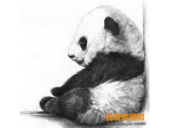 素描一只熊貓寶寶，萌萌噠！入門繪畫教程