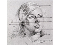 古典大師素描中的明暗面
