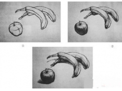深度解析靜物素描寫生要點(diǎn)