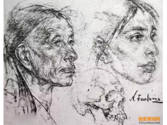 超實用技能！素描頭像的提高方法