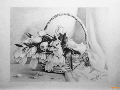 學素描需要從什么地方入手