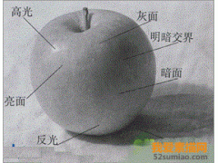 素描教學(xué)——透視關(guān)系要把握的重點(diǎn)