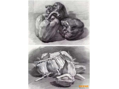 素描——玻璃杯，金屬壺、手套、菜椒單體靜物素描臨摹圖素材