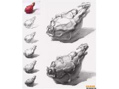 火龍果素描步驟圖，素描火龍果畫法